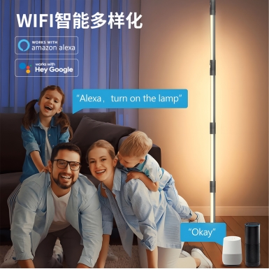 LED室内灯 - HCP204  阅读氛围落地灯